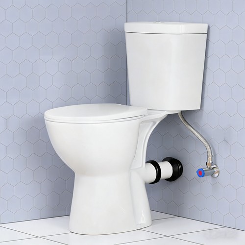 Inch tall toilet - inch,