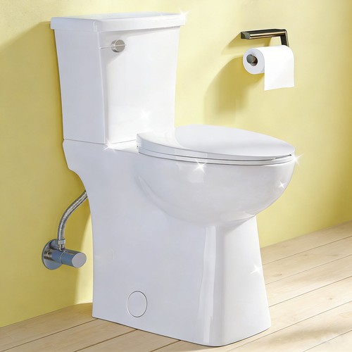 Tall toilets for - for, seniors
